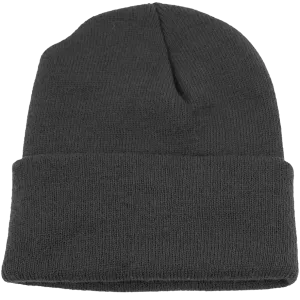Cuff Beanie Dark Gray