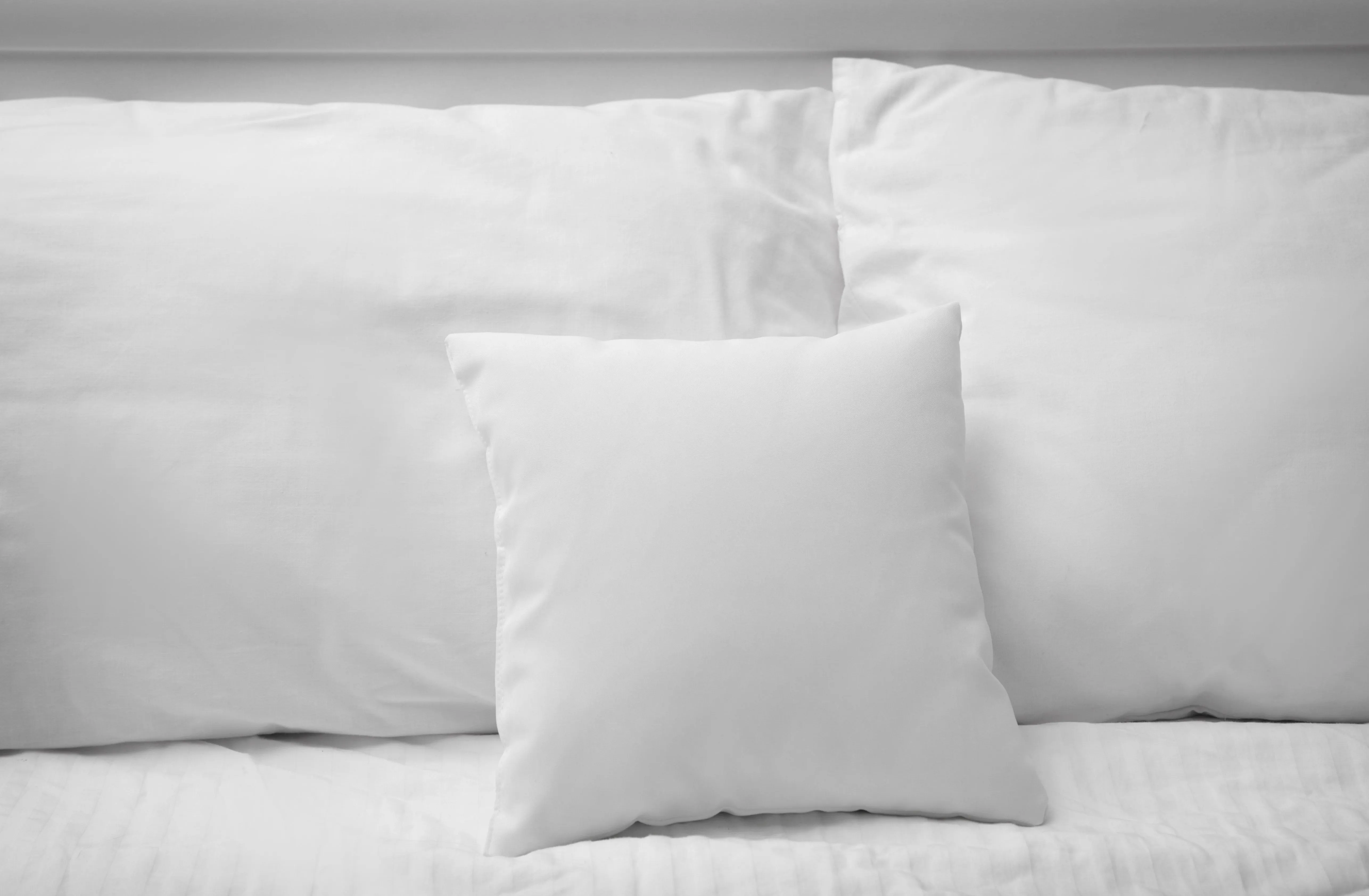 Pillowtex Pillow Insert | Polyester